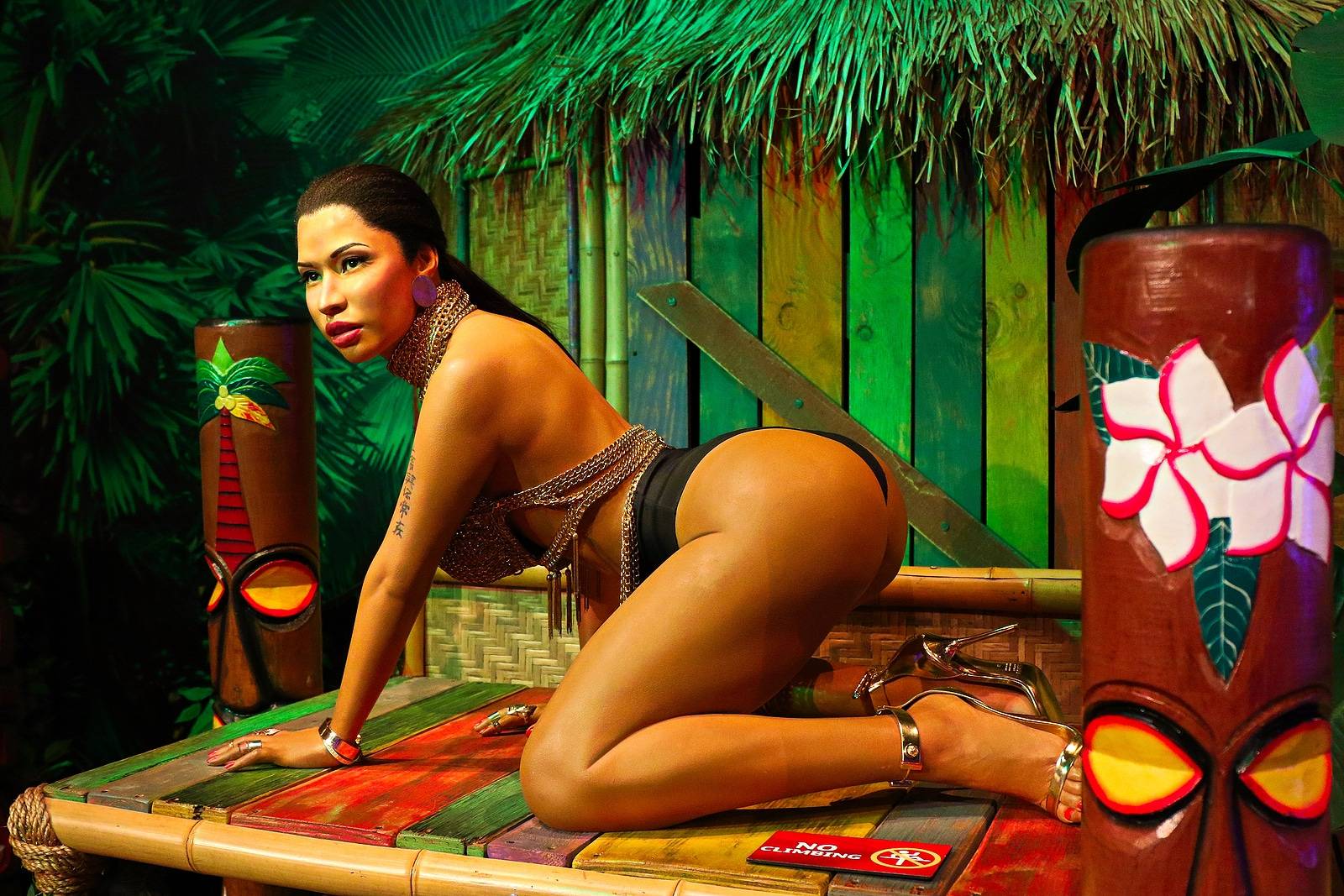 Nicki Minaj Anaconda Music Video Hits 1 Billion Views