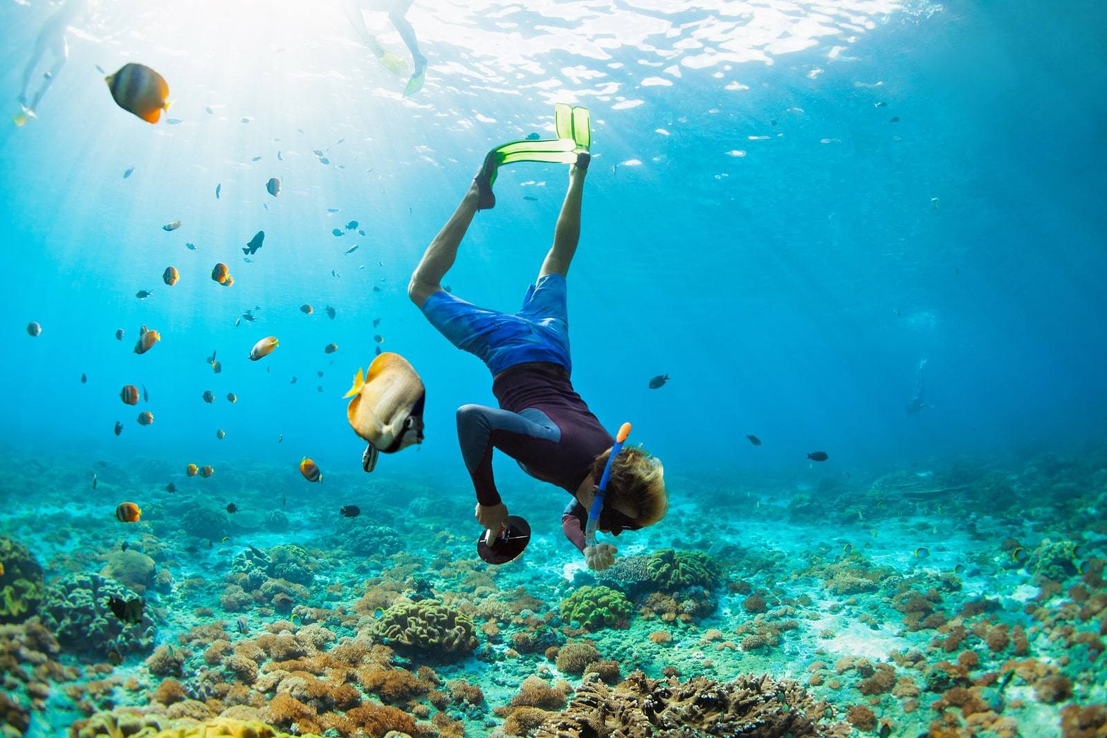 snorkeling in Cabo San Lucas