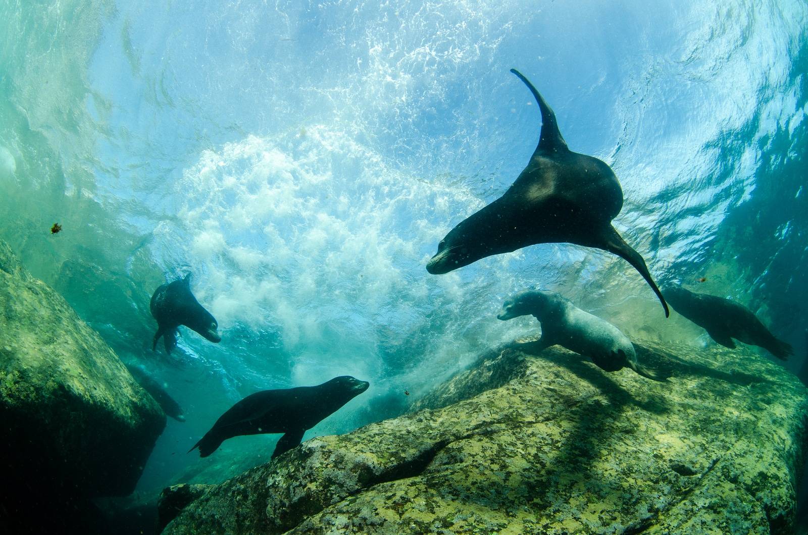 Cabo Pulmo national park