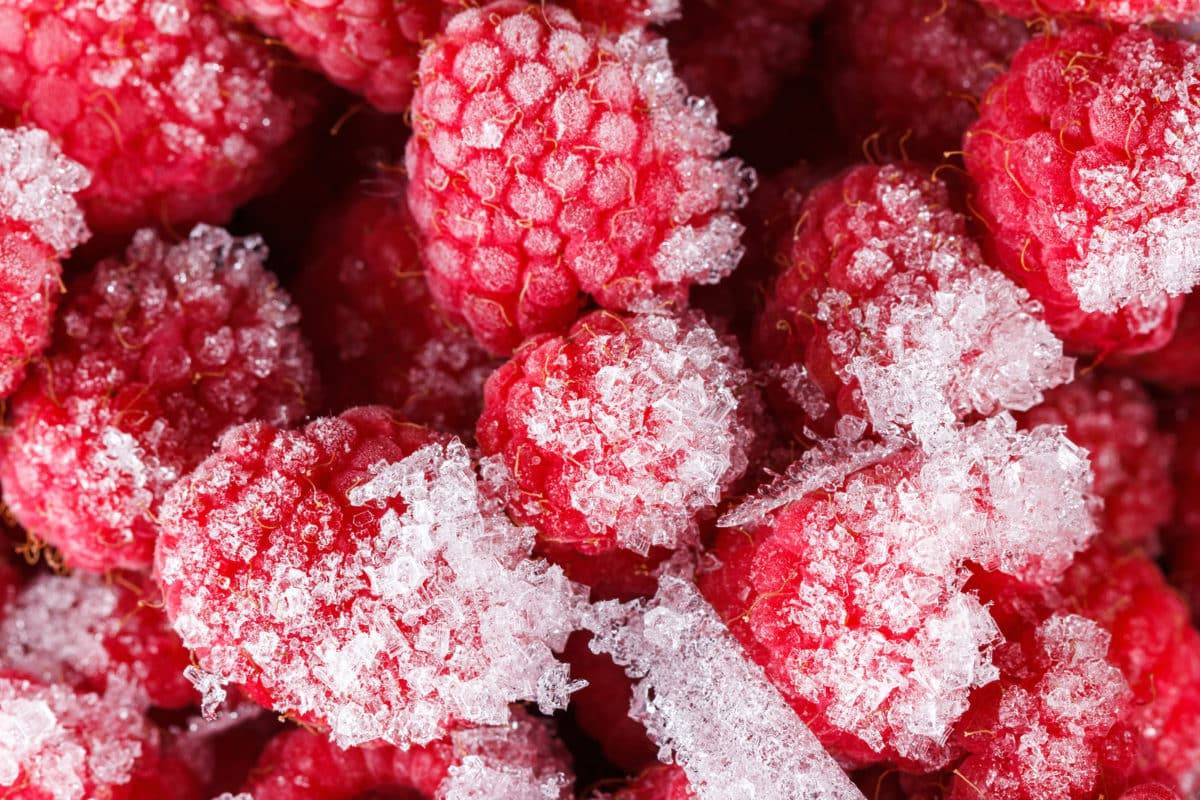 Massive Recall Of Frozen Fruits And Veggies Expands After Listeria Outbreak