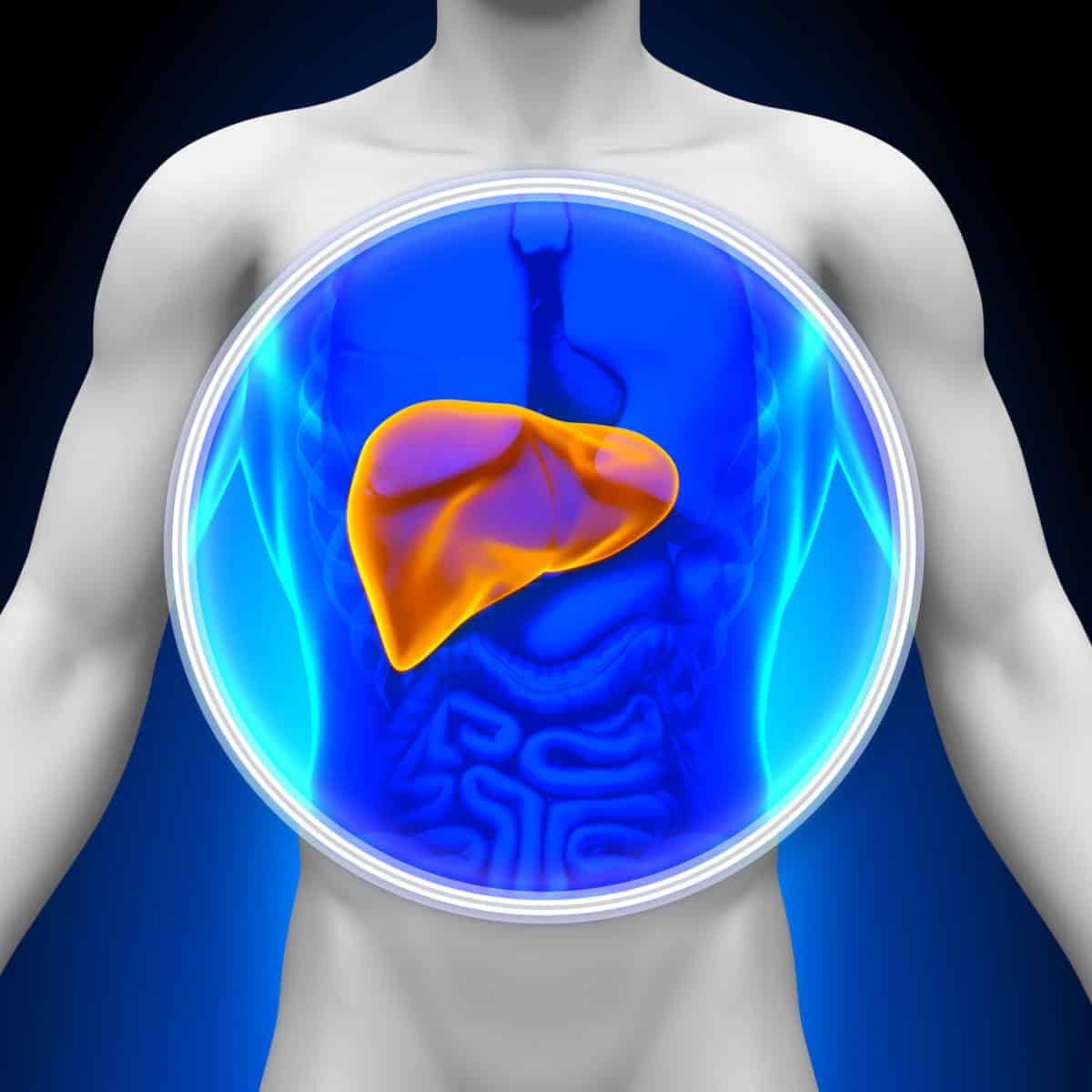 damaging food for the liver