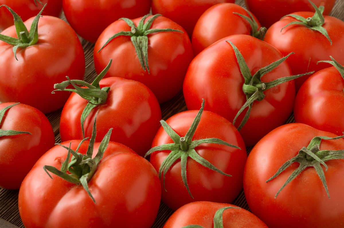 red tomatoes background. Group of tomatoes