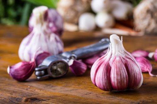 properties of garlic