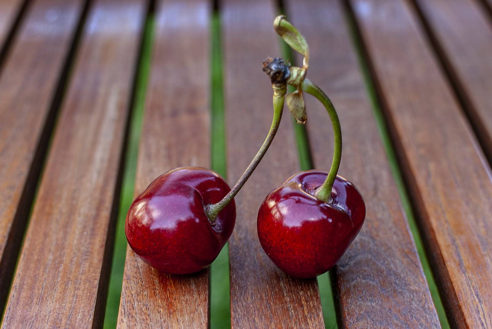 Cherry 