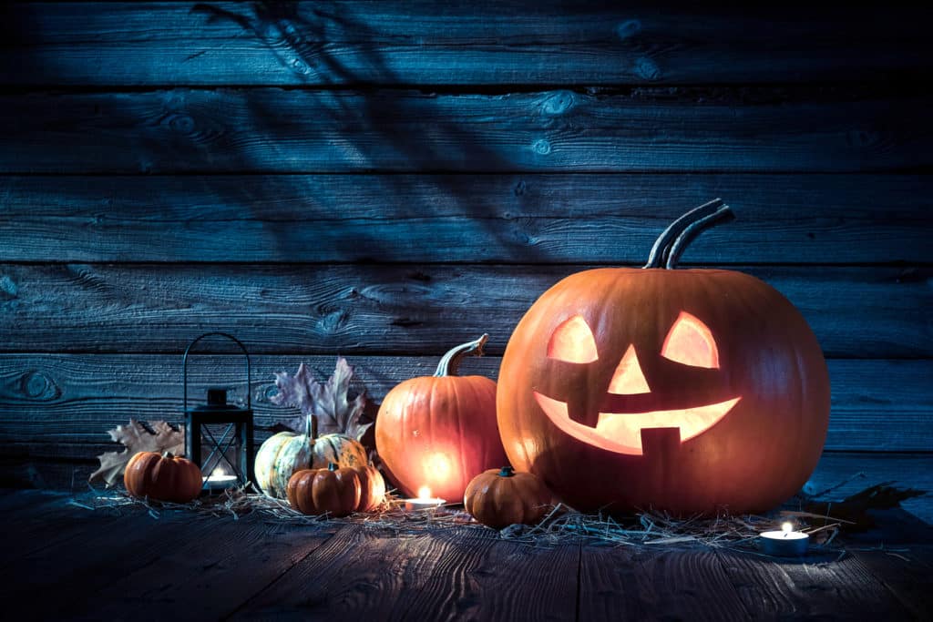 Wholesale Inventory Network Reveals Halloween Adventures in Salem