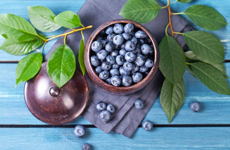 Reasons To Consider Growing Blueberries in Your Garden