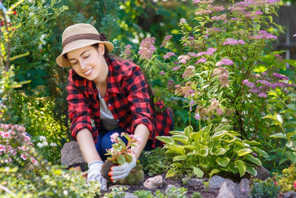 Getting Your Garden Ready For Summer