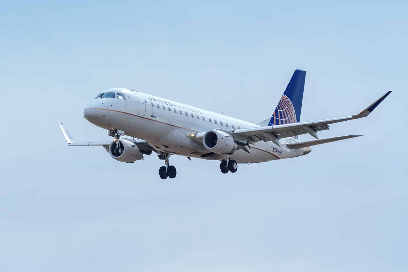 United Airlines Death of Dog put into Overhead Compartment 2