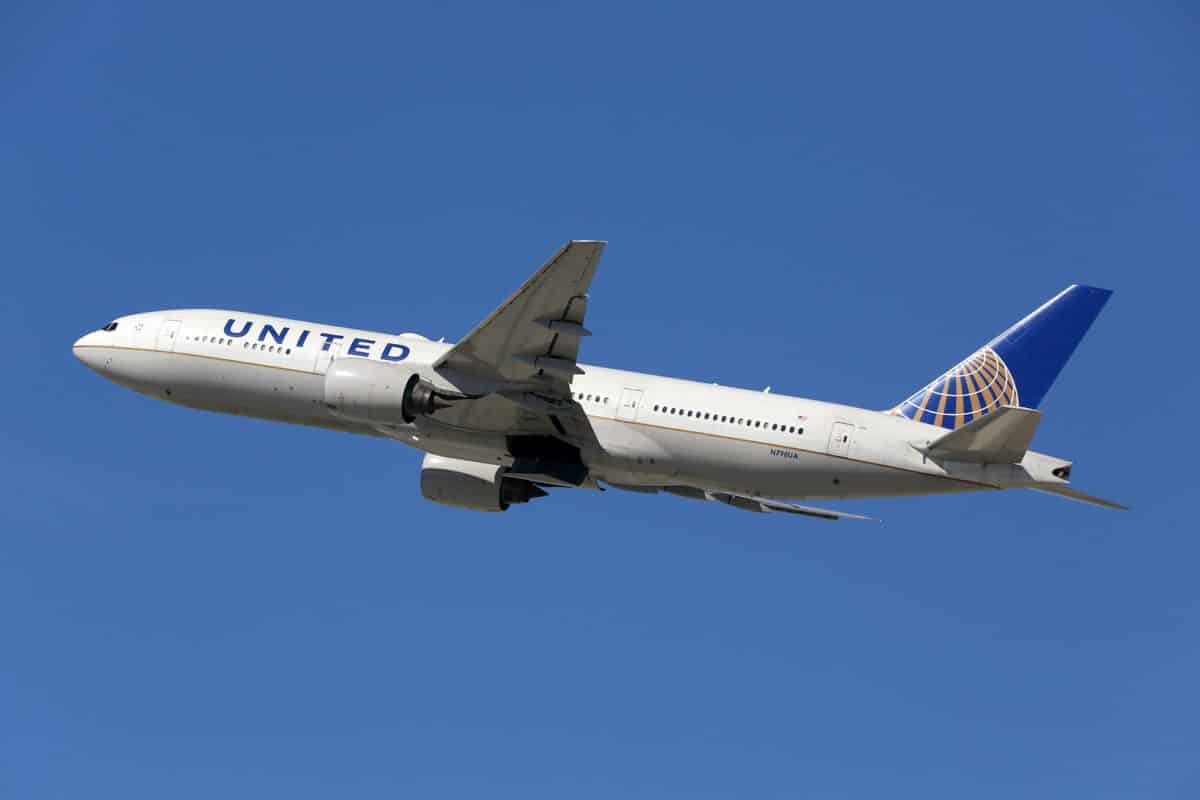 United Airlines Responsible for Death of Dog put into Overhead Compartment