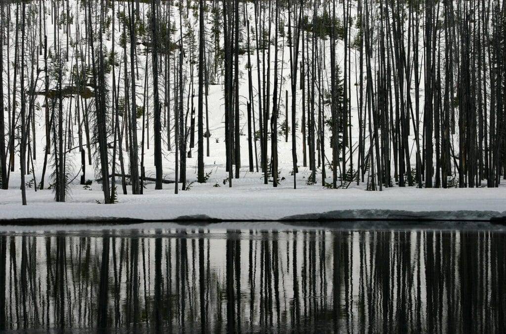 A Winter Trip to Yellowstone National Park 5