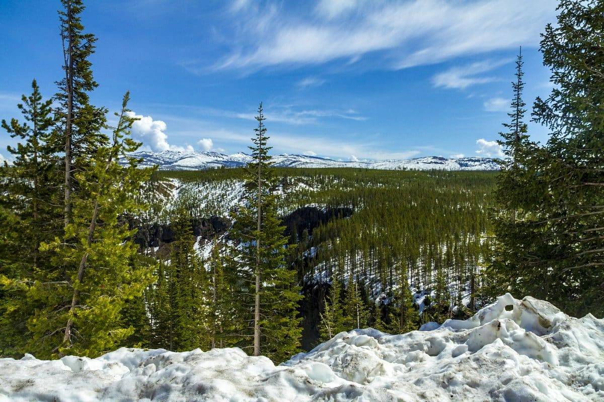 A Winter Trip to Yellowstone National Park 2