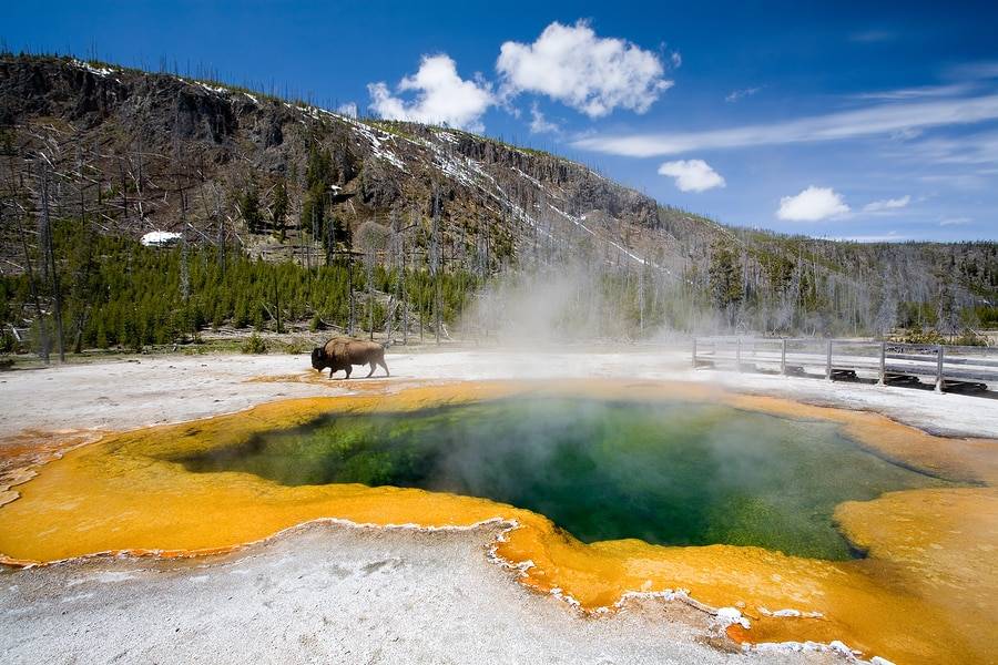 A Winter Trip to Yellowstone National Park
