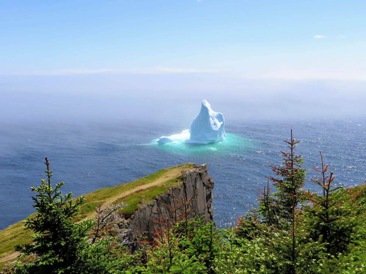 Explore Newfoundland in 2019 (5)