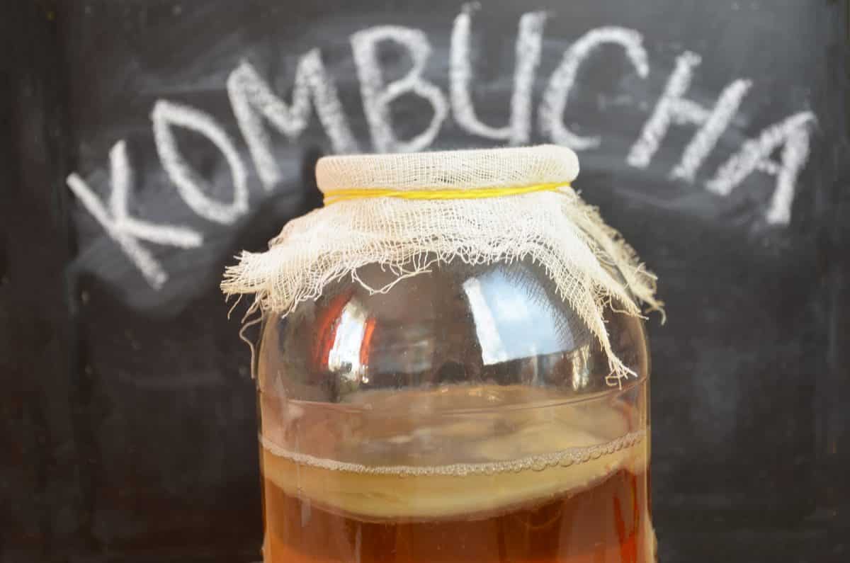 Amazing health benefits of Kombucha Tea 2