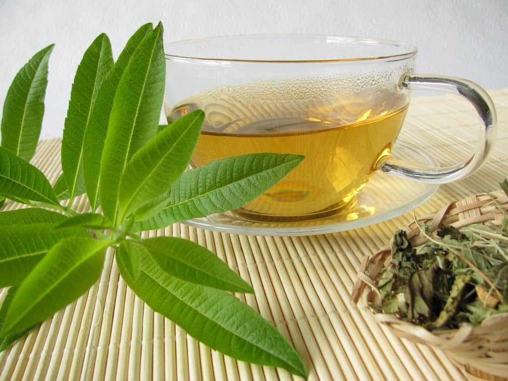 The Benefits of Lemon Verbena Tea 1