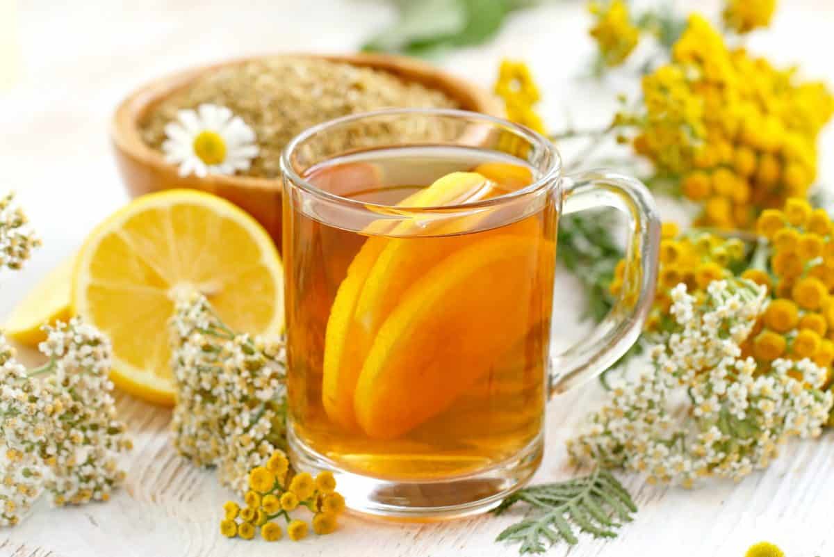 Health Benefits of Lemon Verbena Tea