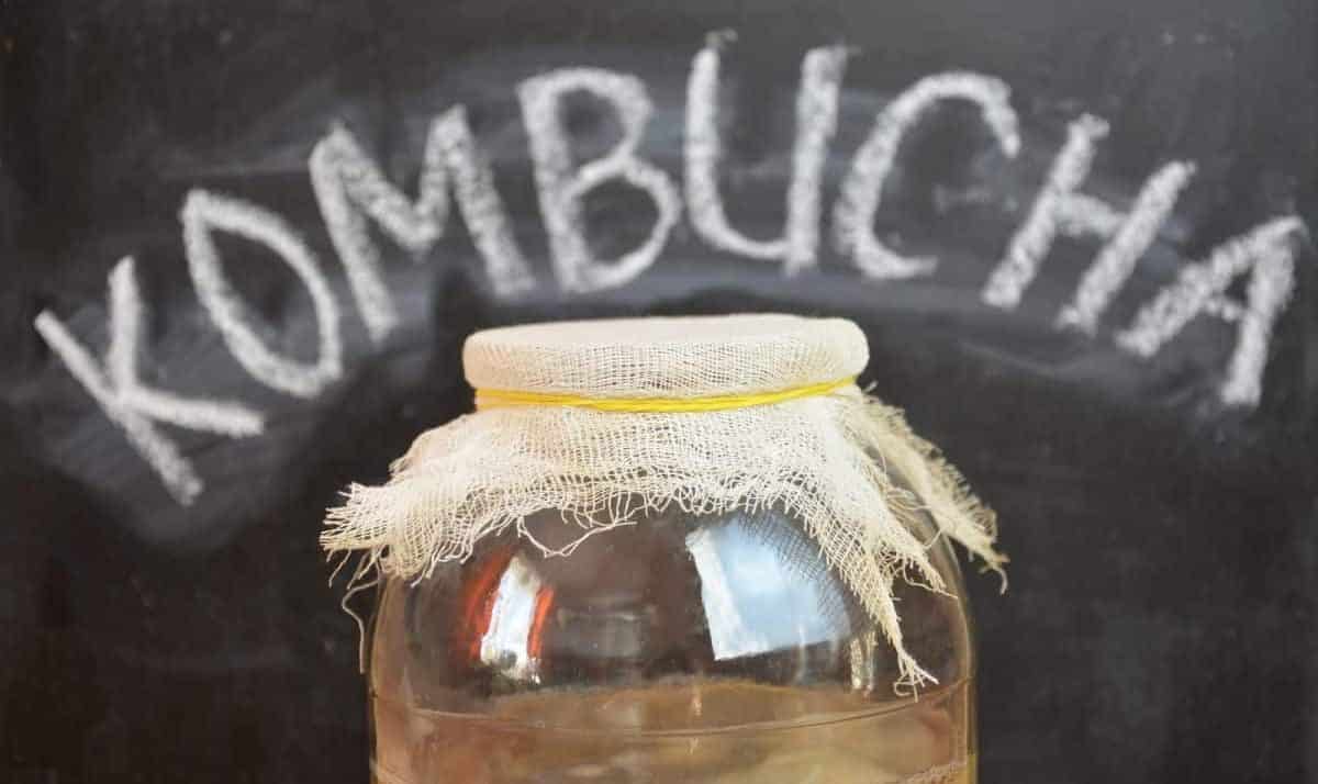 Health Benefits of Kombucha Tea 1