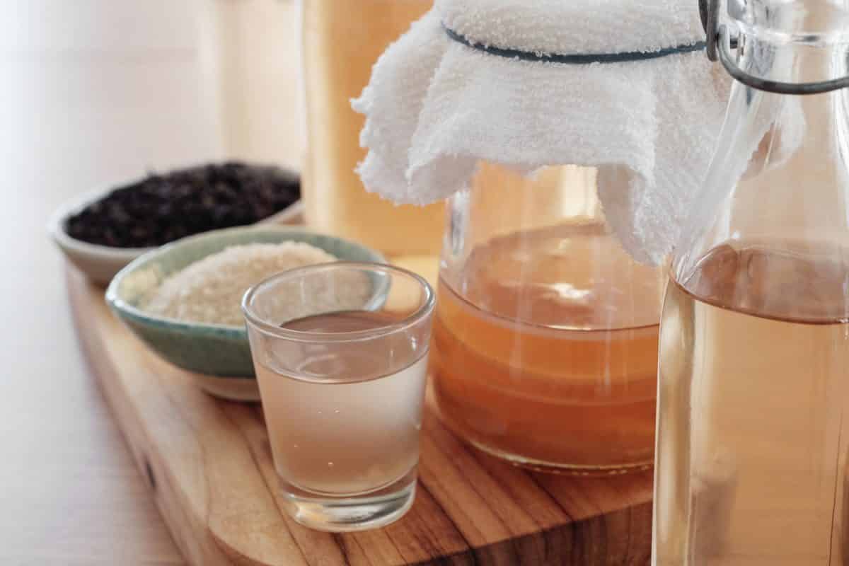 Health Benefits of Kombucha Tea 2