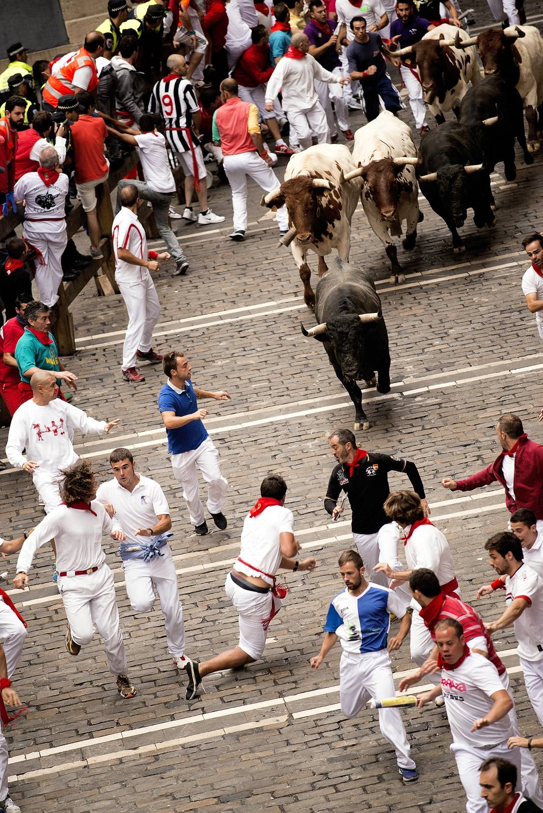 The Dangers of Running of the Bulls, is it worth it?