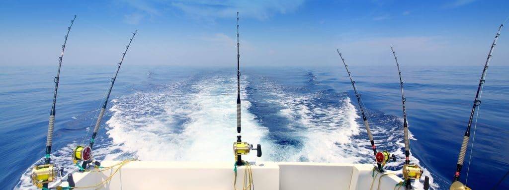 fishing tournament in Cabo San Lucas by Hacienda Encantada