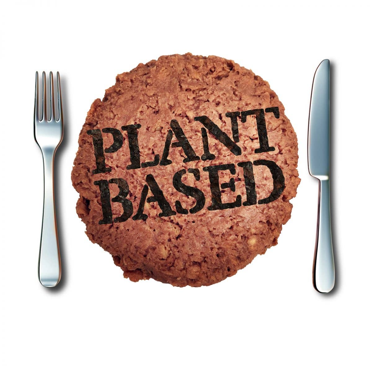 Plant based meat