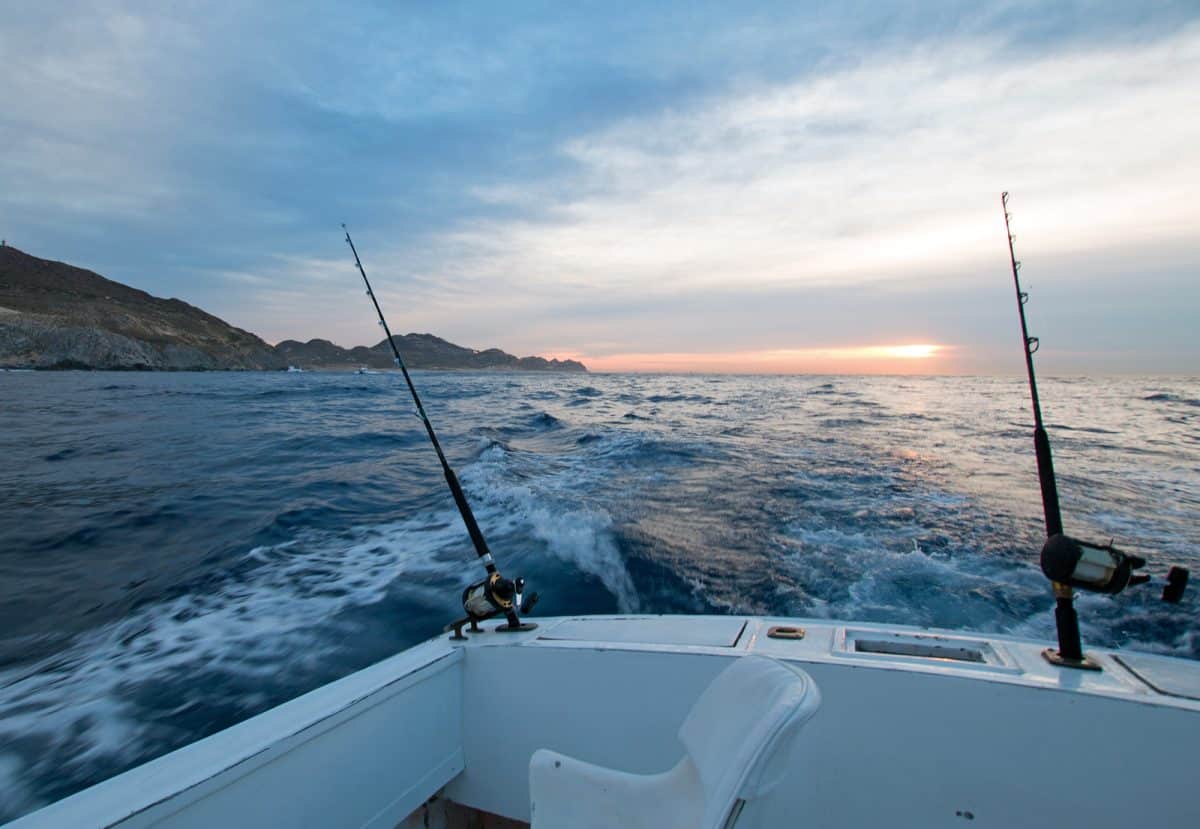 Sunrise view of fishing rod, fishing in Los Cabos