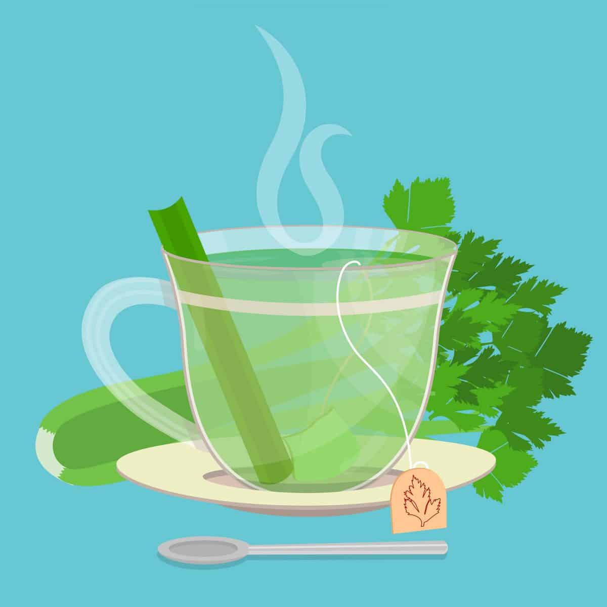 Great Benefits of Drinking Celery Tea that are Amazing will Make you Healthy