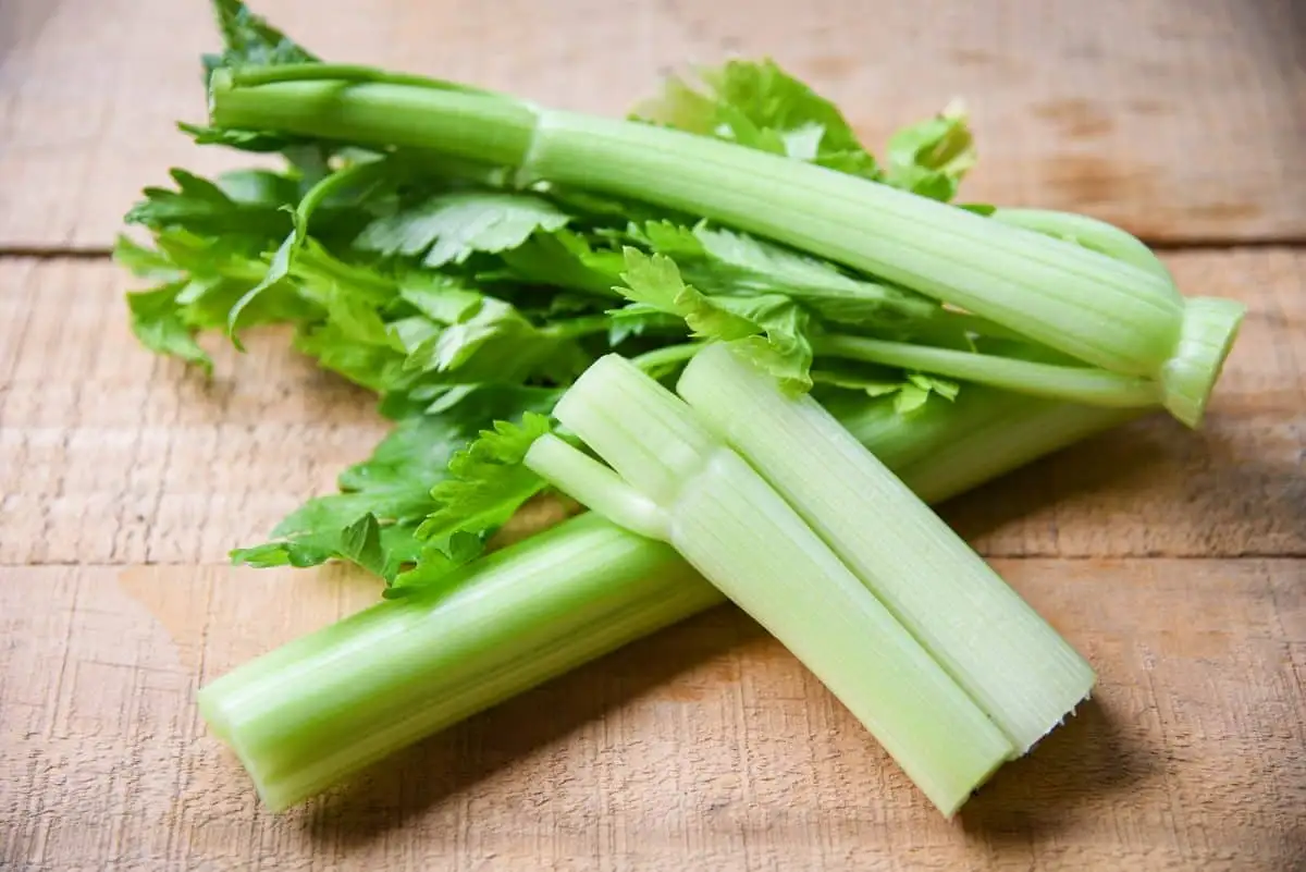 Celery sticks and leaf fresh vegetable