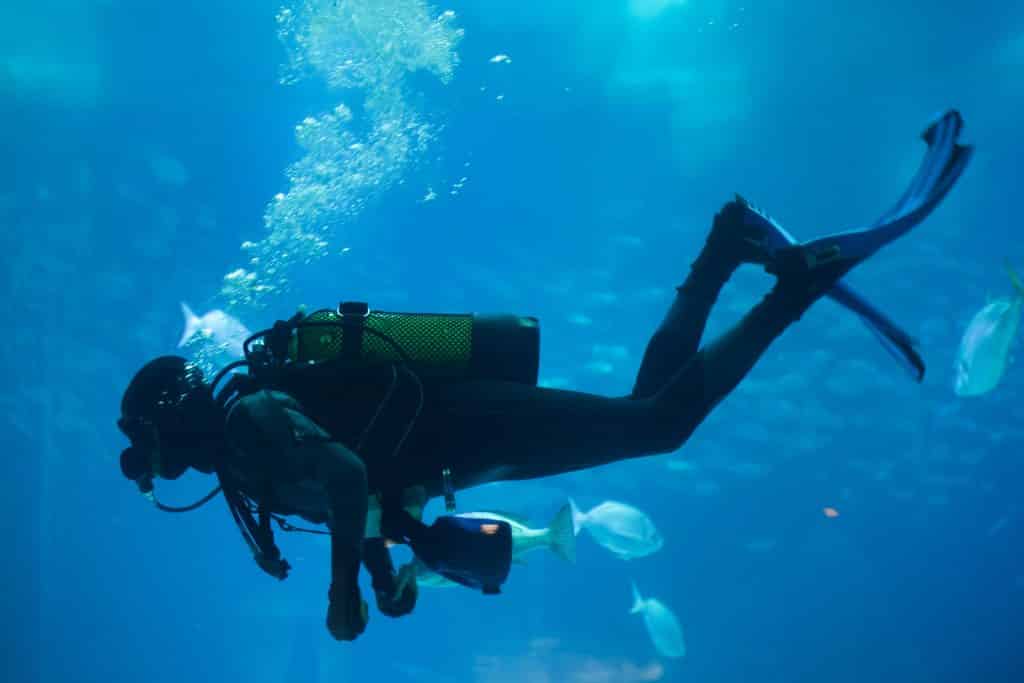 Diver diving with a scuba set in the sea.