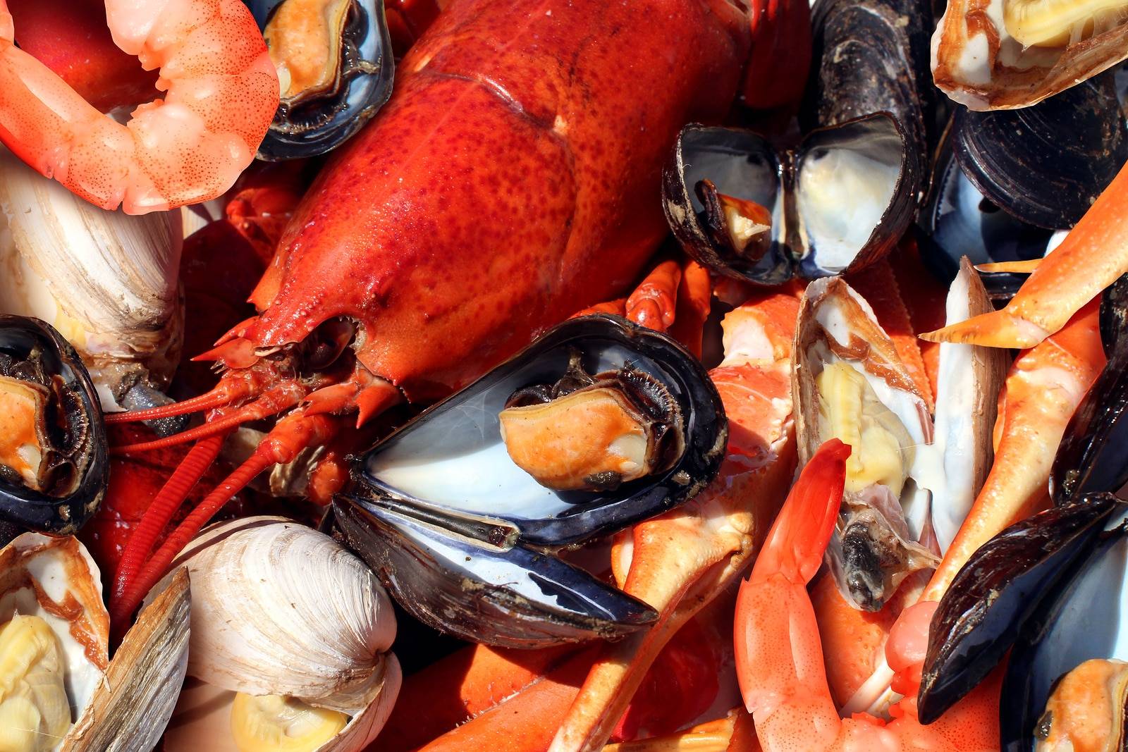 Shellfish plate of crustacean seafood