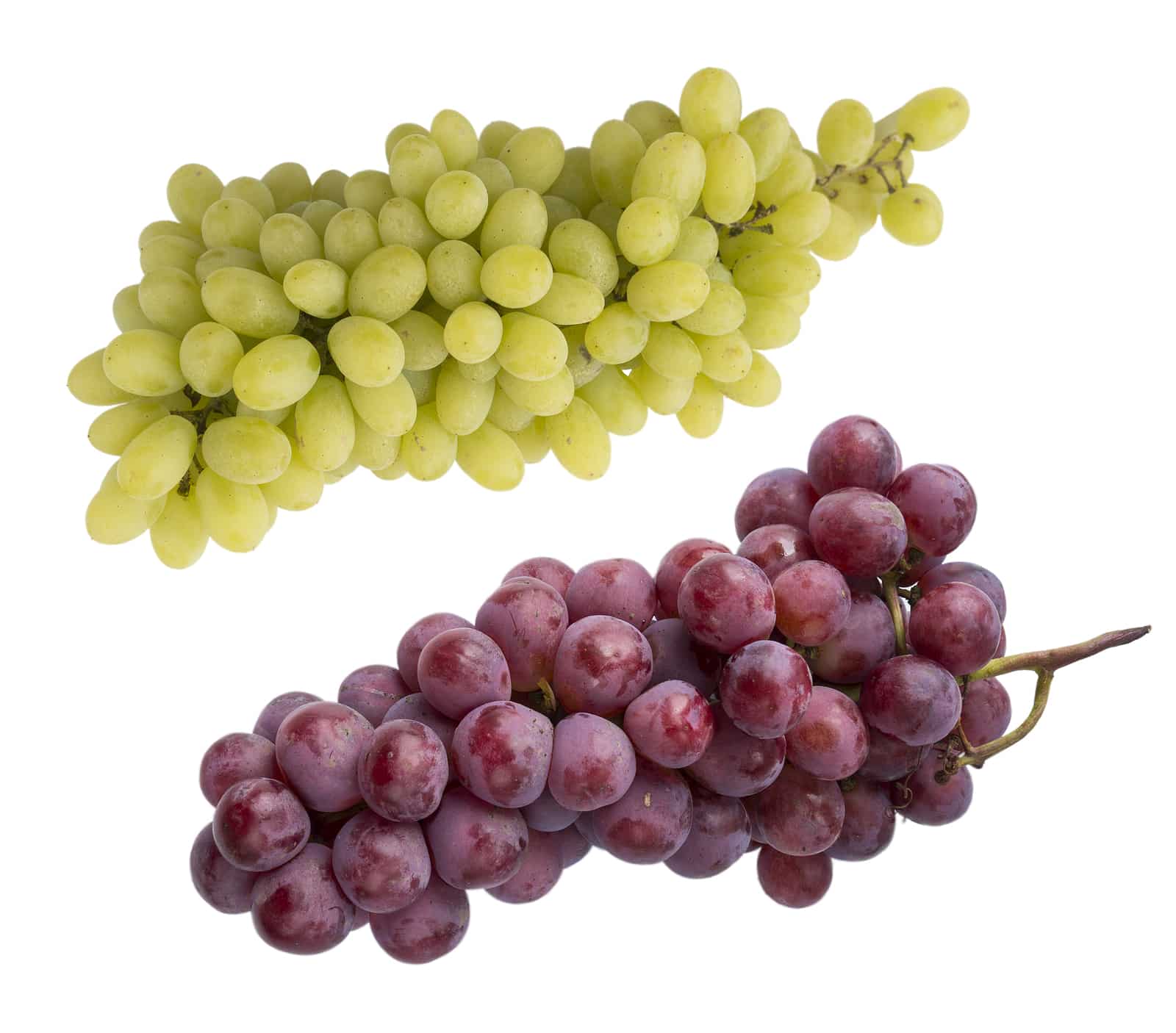 Grapes