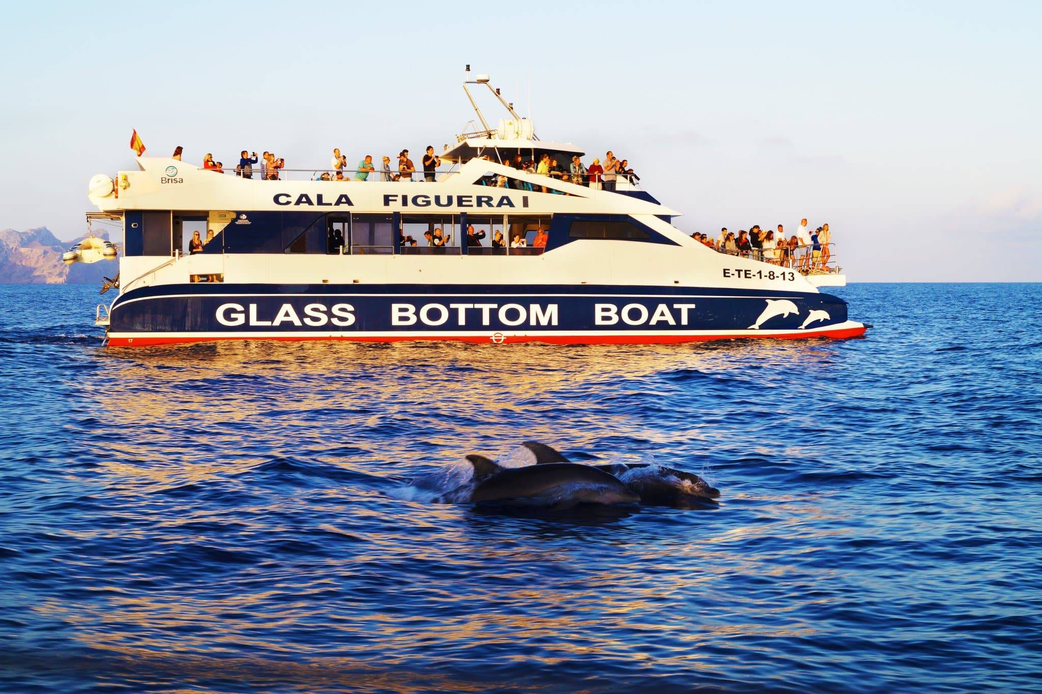 Glass Bottom boat trips in Mallorca