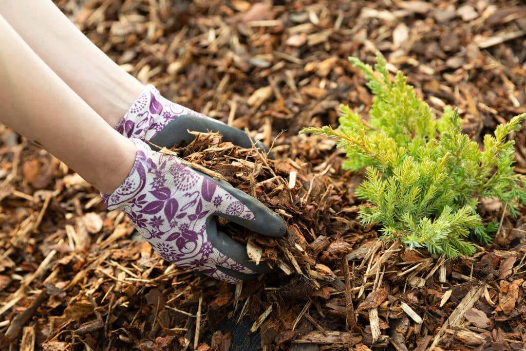 Mulch Trees and Flower Beds