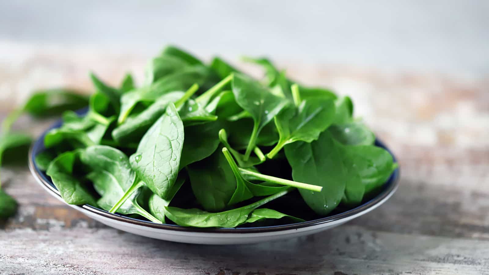 Fresh Baby Spinach, healthy dog food