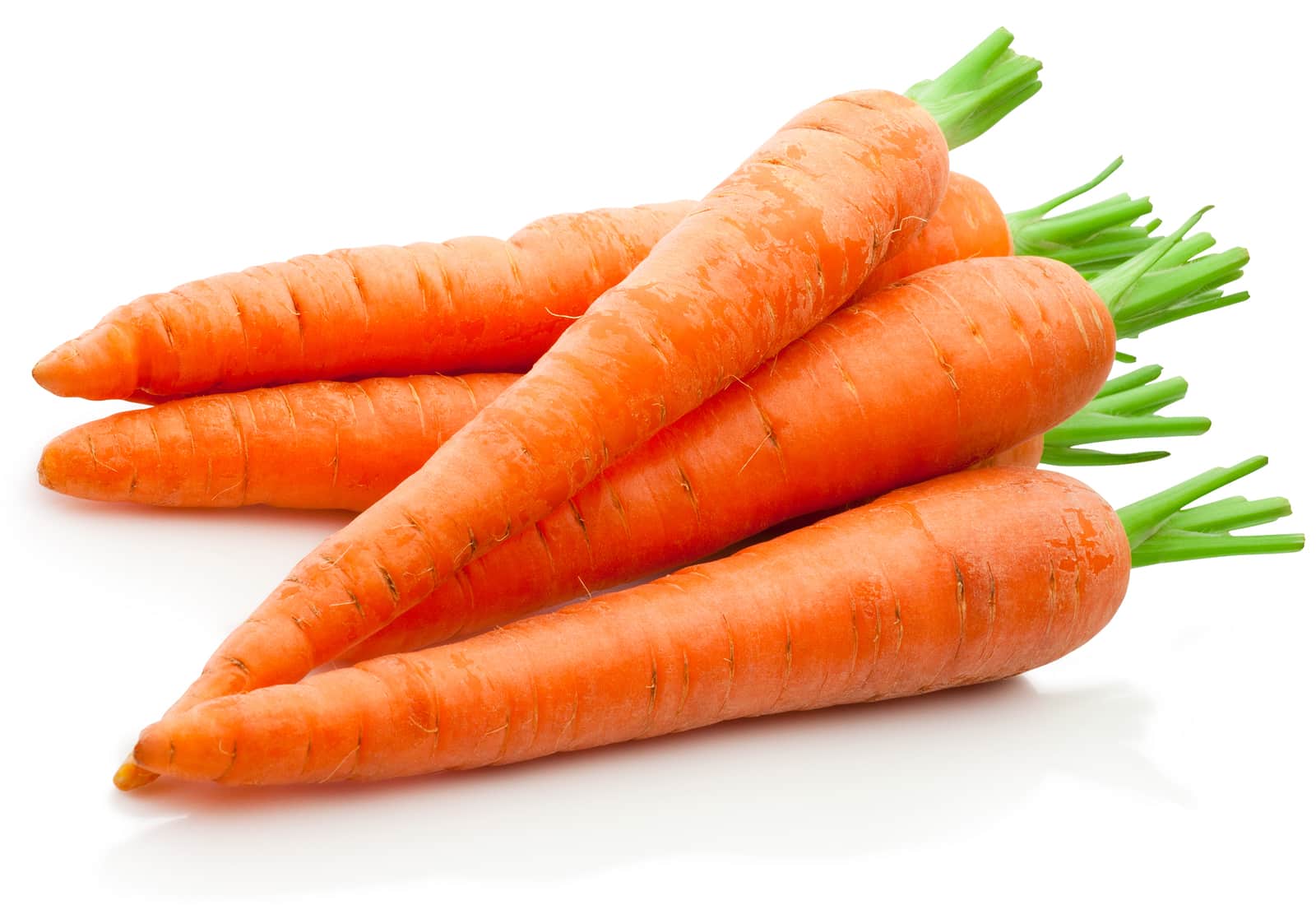 Fresh carrots