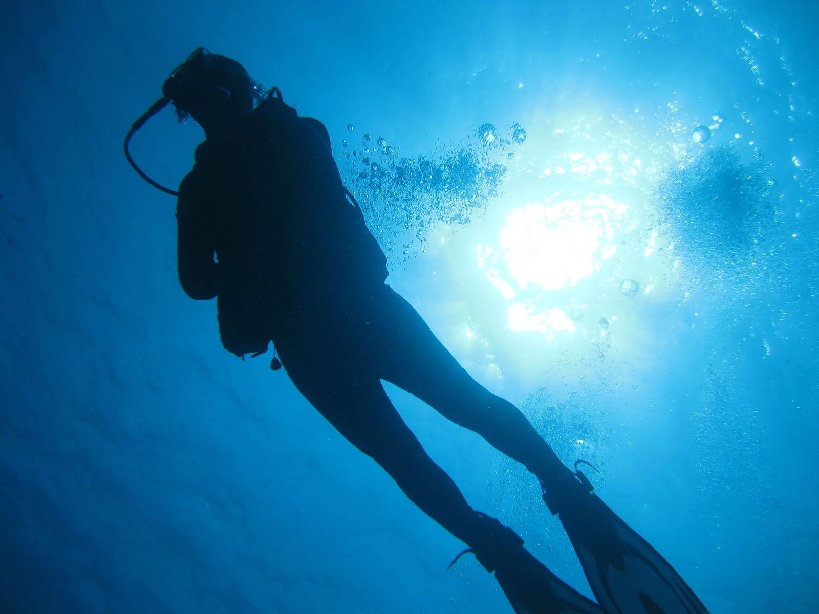 Astuto Travel Suggests Scuba Diving In Mexico