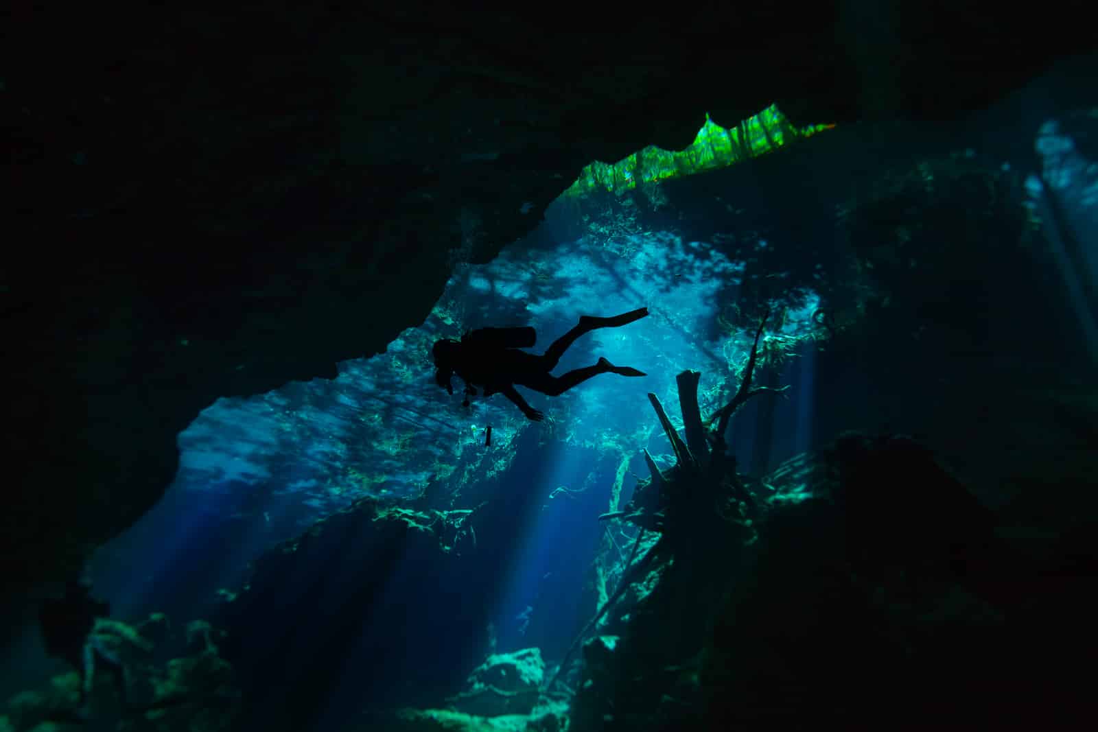 Diving in the cenote with Astuto Travel