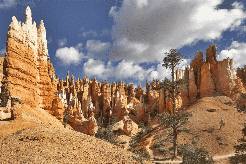Vista of Bryce Canyon National Park in Utah - The National Parks Of Utah
