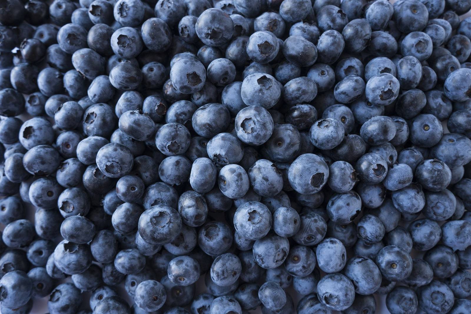 blueberries