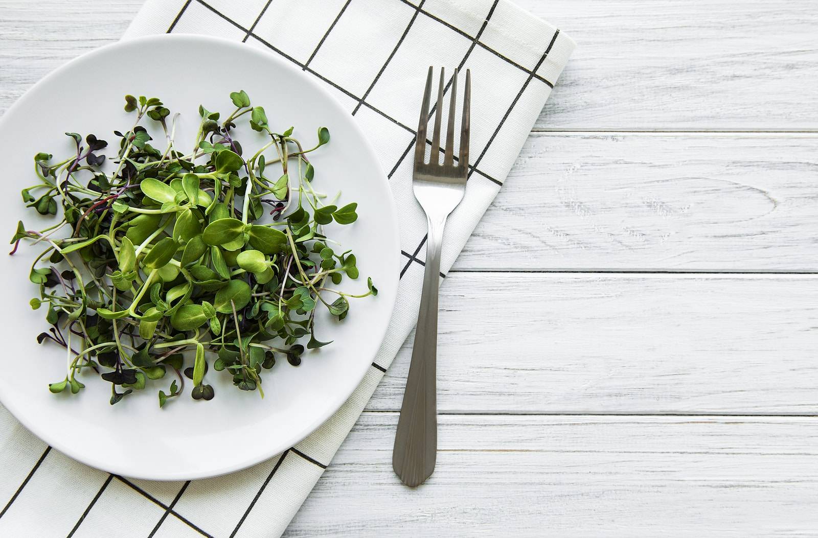 Home Grown Sprouts Are Best New Nutritional Trend
