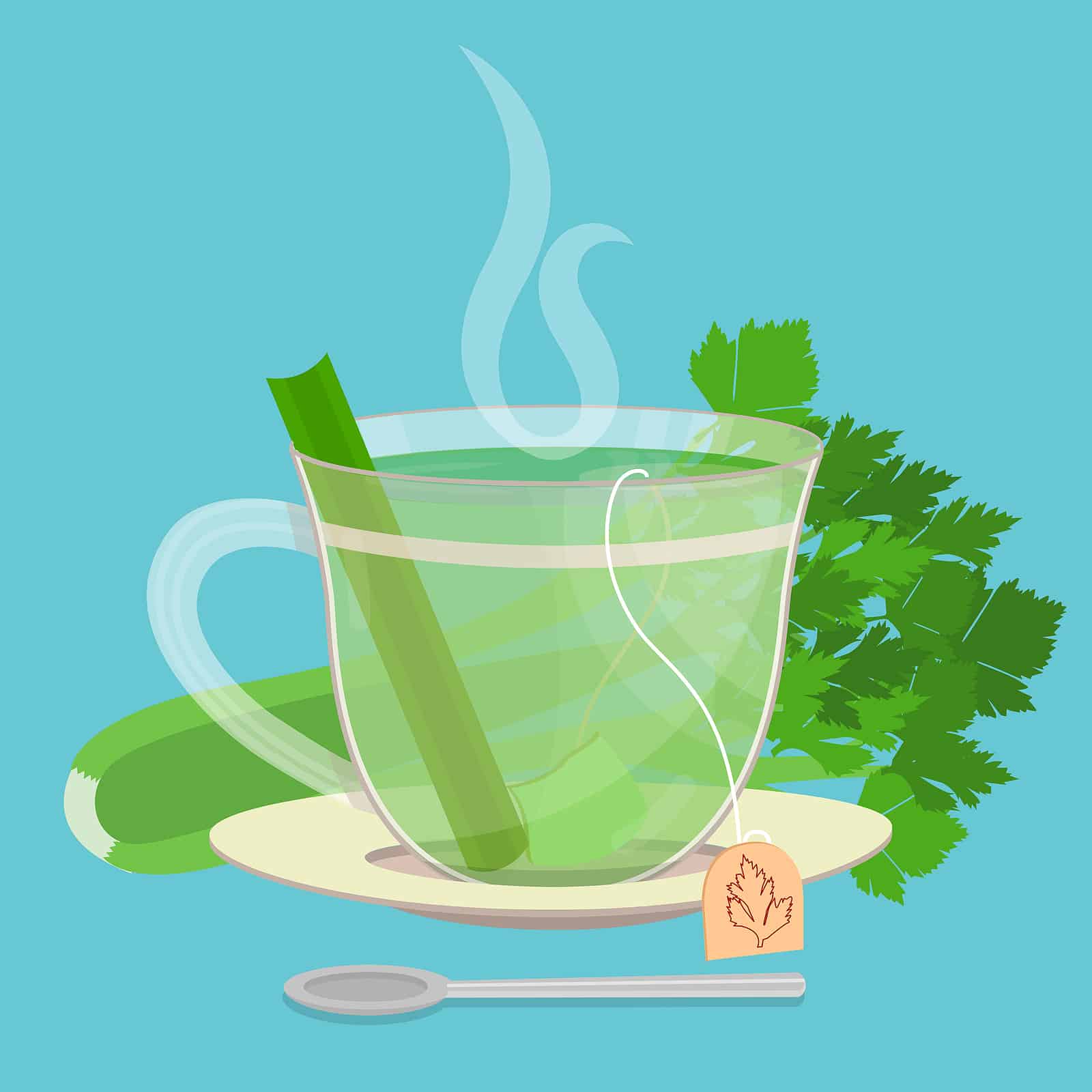 Top benefits of drinking celery tea