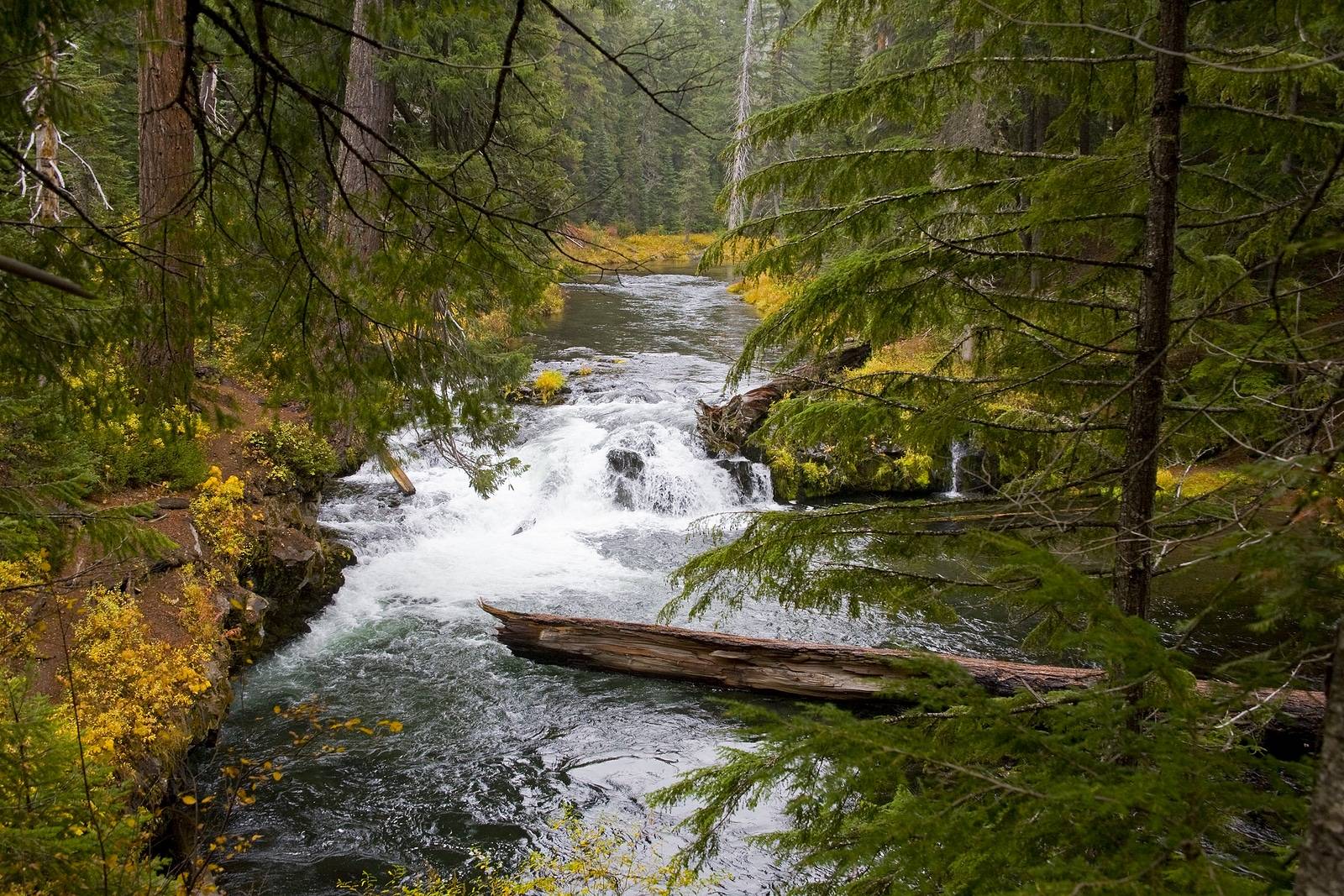 Wild and Scenic Rogue River in Southern Oregon