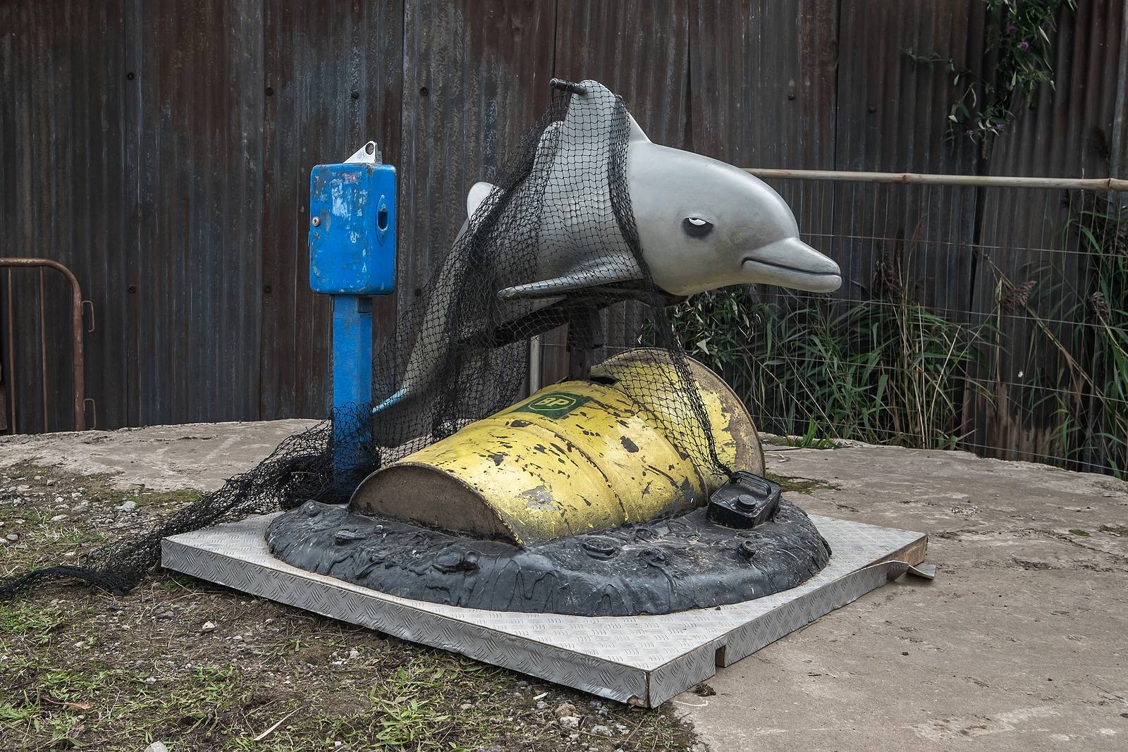 dolphin cough in nets