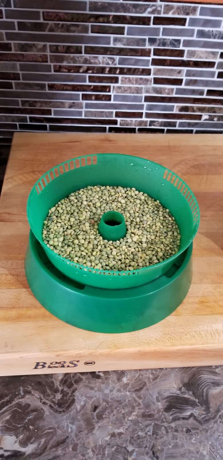 Hottest Food Trend of 2021 is Sprouting Lentils at Home (4)