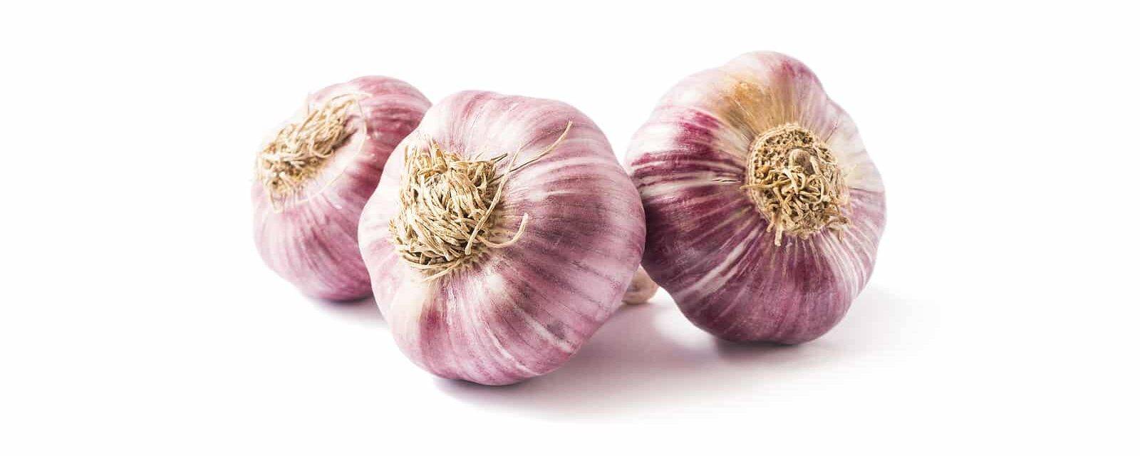 Harsh and Toxic Truths About Garlic (1)