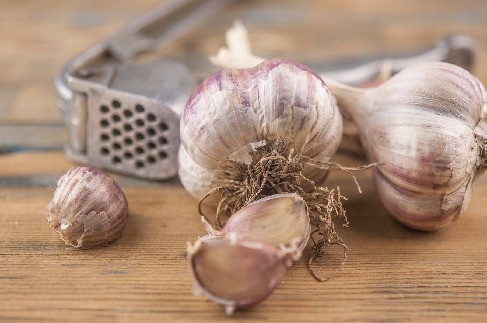 The Harsh: Non-Regulated Garlic