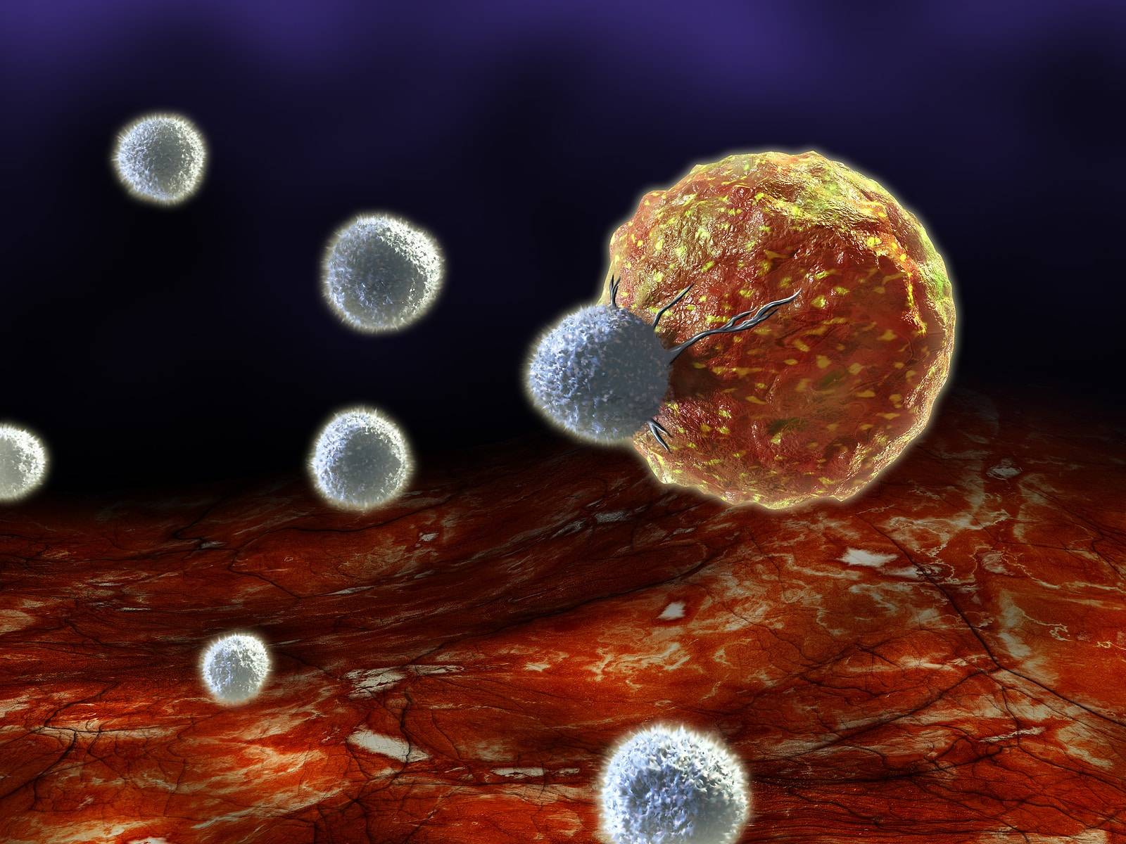 Programmed T-Cells for Leukemia