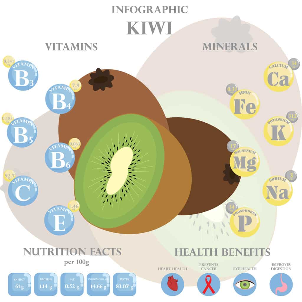 Infographic about nutrients in kiwi.