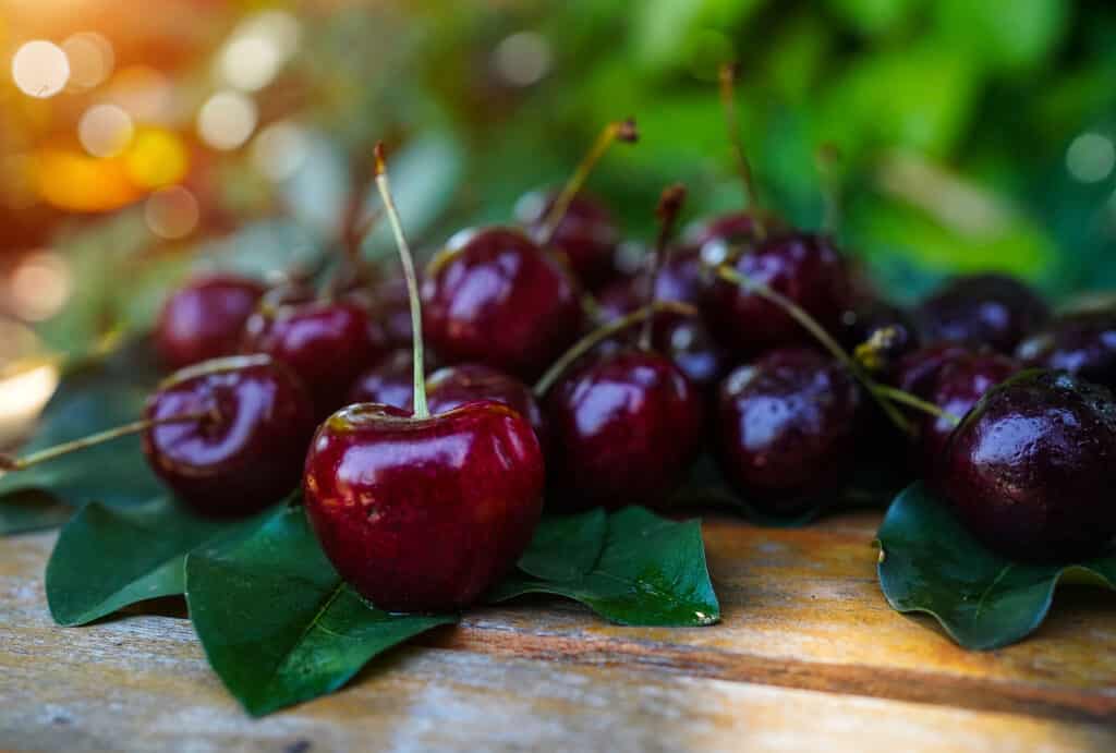 Top 10 Health Benefits of Cherries 2