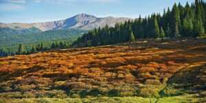 Top Tourist Attractions to Visit in Vail Colorado